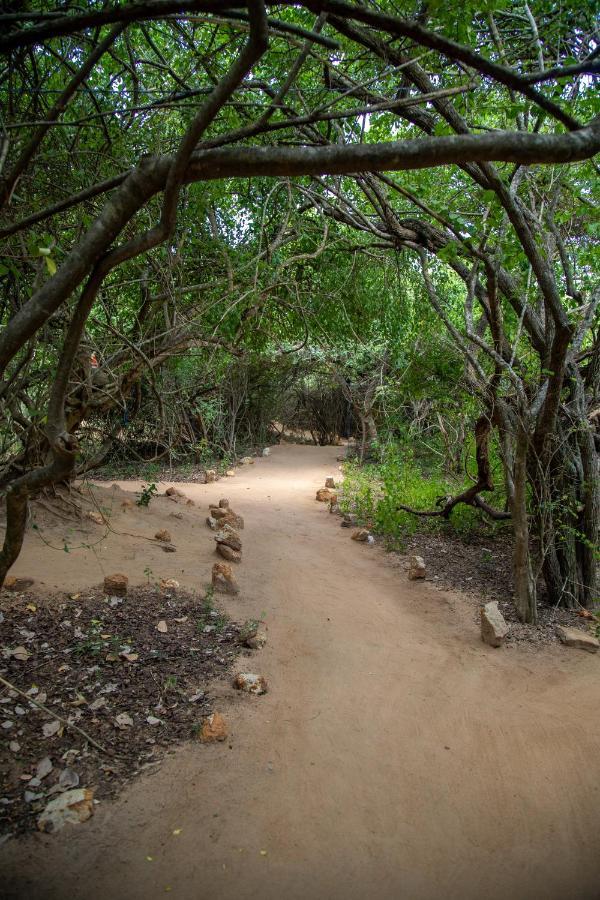 Yala Eco Bush Camp Hotel Eksteriør billede