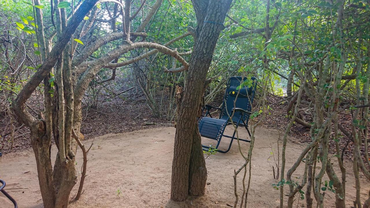 Yala Eco Bush Camp Hotel Eksteriør billede