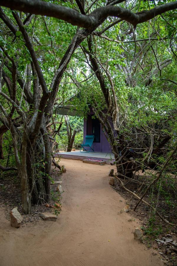 Yala Eco Bush Camp Hotel Eksteriør billede