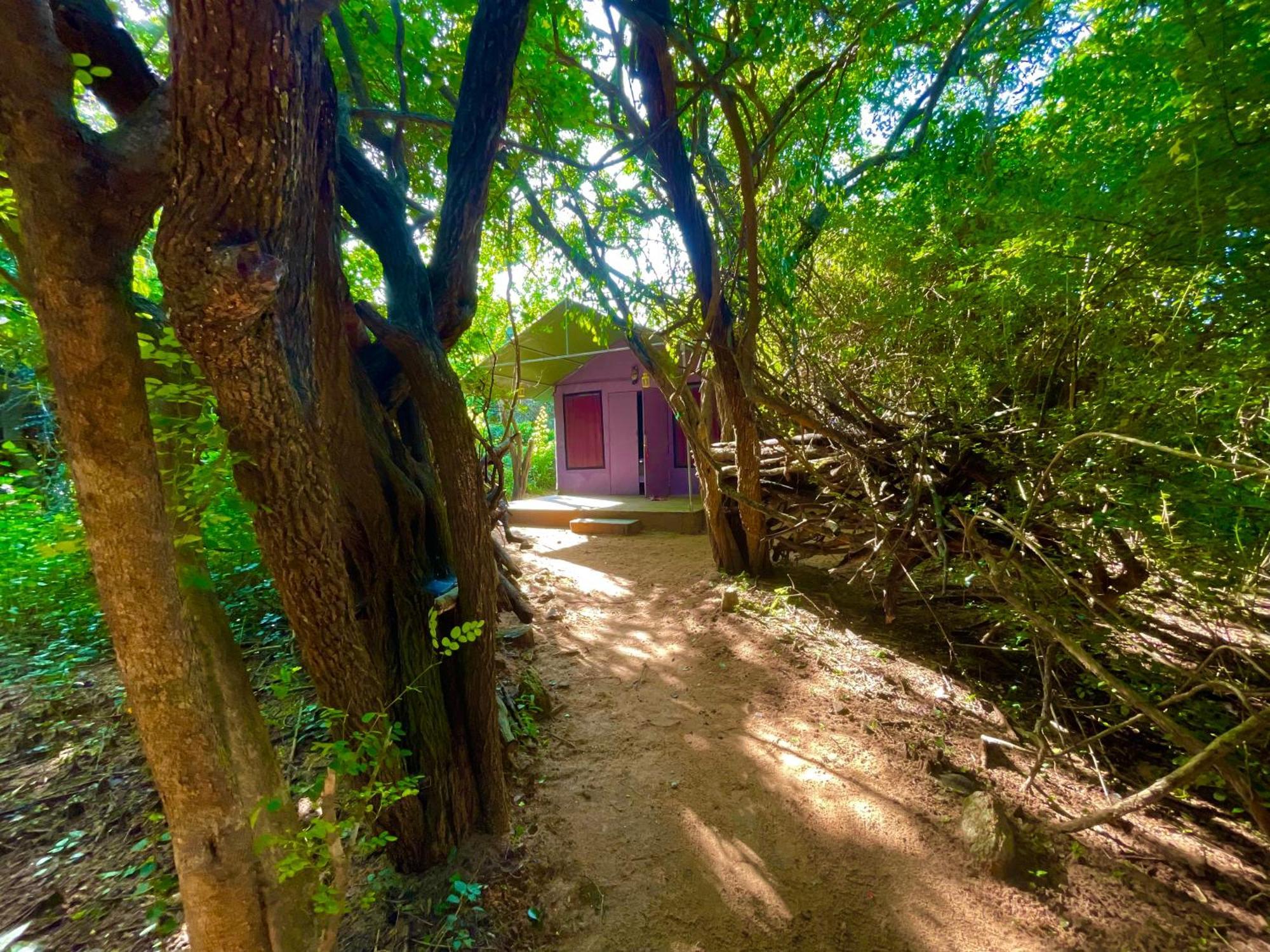 Yala Eco Bush Camp Hotel Eksteriør billede