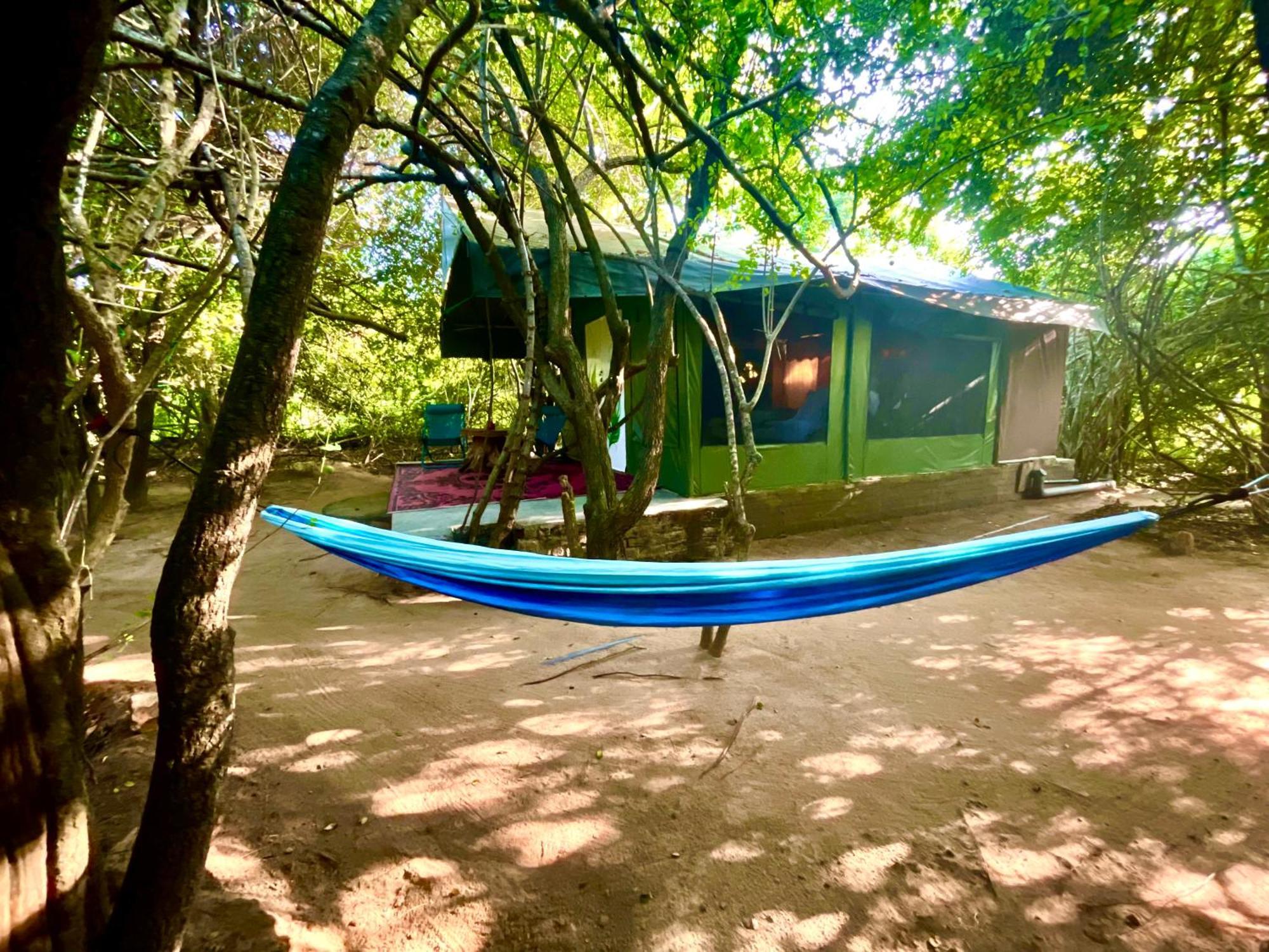 Yala Eco Bush Camp Hotel Eksteriør billede