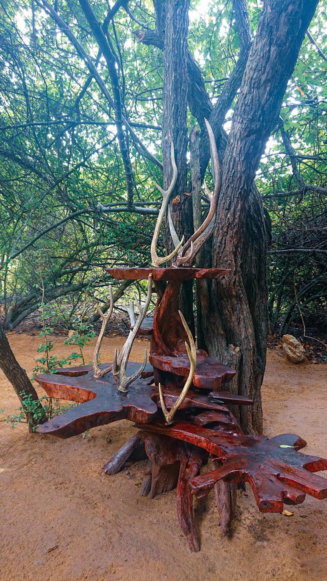Yala Eco Bush Camp Hotel Eksteriør billede