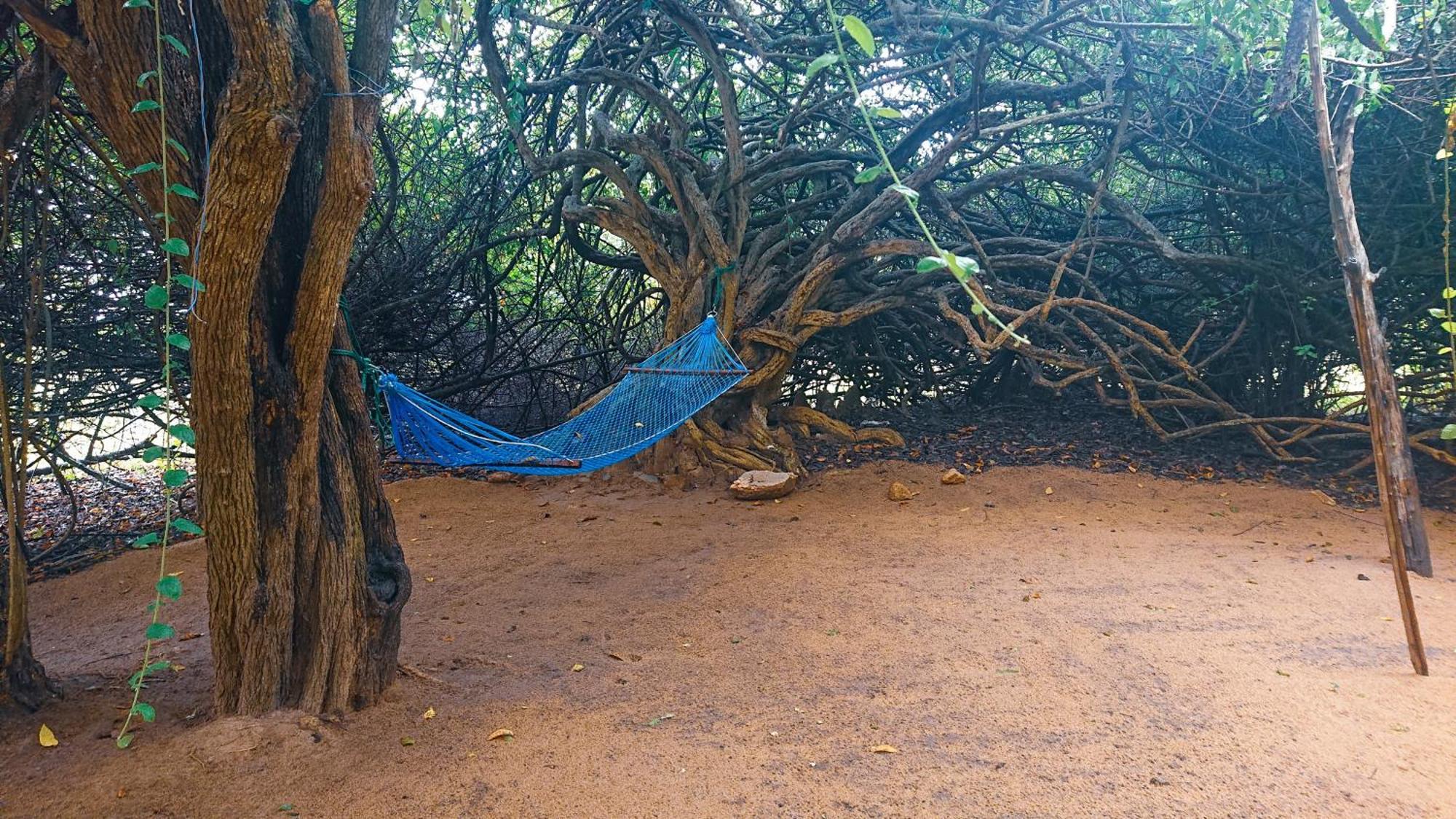 Yala Eco Bush Camp Hotel Eksteriør billede